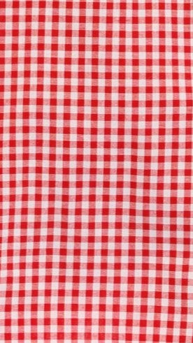 Hayley Vest and Shorts Set - Red Gingham - Billy J