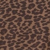 marley-shorts-leopard-print.jpg